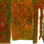 Paysage A Trois: Paysage Sauge-Orange, Paysage Tresse, 2006, Acrylic & Ink On Linen, 55 x 46 in, 118 x 40 cm (Part1 Collection MHSL)