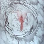 Heart Square Series 18: Annihilation Eros(H18) 1979, Graphite Prismacolor On Paper, 30 x 22 in (CollectionSanJoseMuseumOfArt)